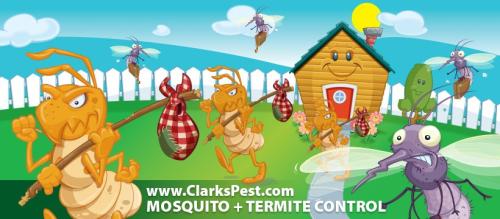 Image for Clark's Termite & Pest Control with ID of: 6113893