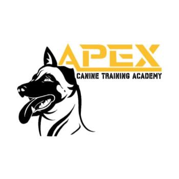 Image for APEX Canine Training Academy - Brantford with ID of: 6683357