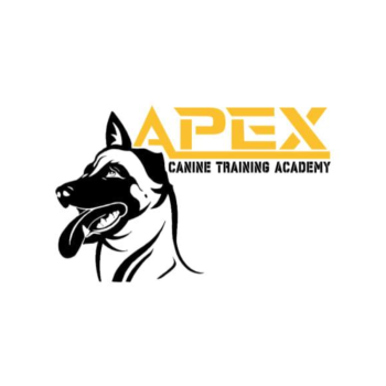 Image for APEX Canine Training Academy - Mississauga with ID of: 6684343