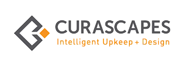 Image for Curascapes with ID of: 6684680