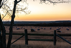 Image for Triple Mountain Ranch with ID of: 6118495