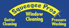 Image for Squeegee Pros Window Cleaning with ID of: 6686365