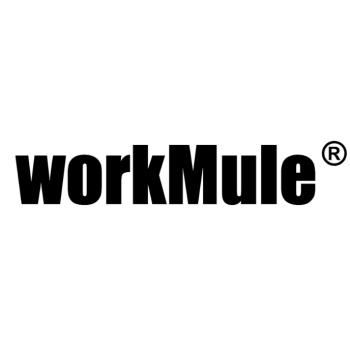 Image for workMule International Ltd with ID of: 6686415