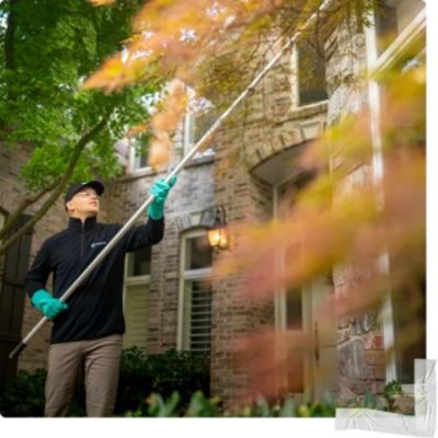 Image for Greenix Pest Control with ID of: 6121373