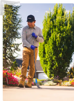 Image for Greenix Pest Control with ID of: 6121496
