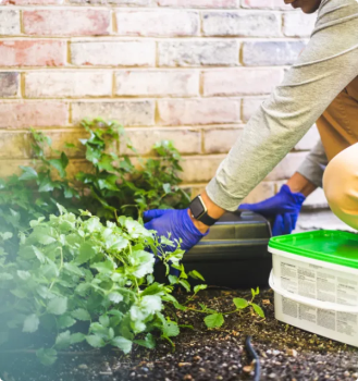 Image for Greenix Pest Control with ID of: 6121497