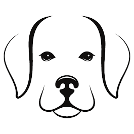 Image for Miss Behaviour with ID of: 6689487