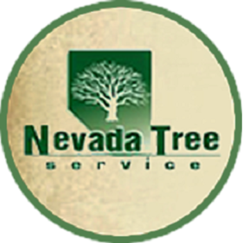 Image for Nevada Tree Service with ID of: 6689758