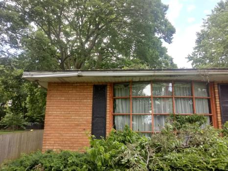 Image for American Tree Service Unlimited with ID of: 6123388