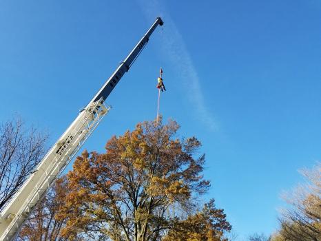 Image for Coughlin Tree Service with ID of: 6124082