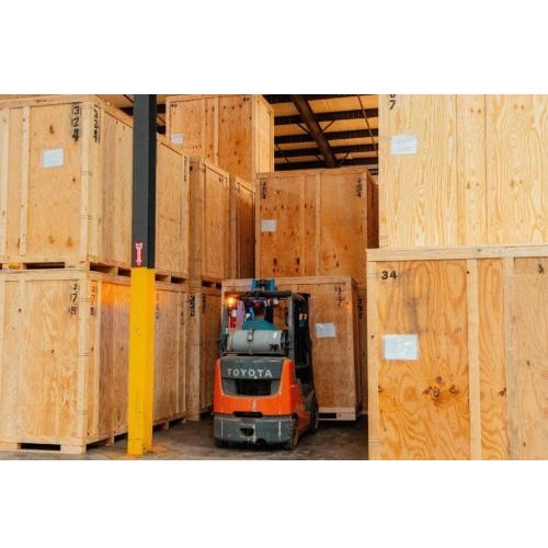 Image for Swamp Rabbit Moving with ID of: 6129753