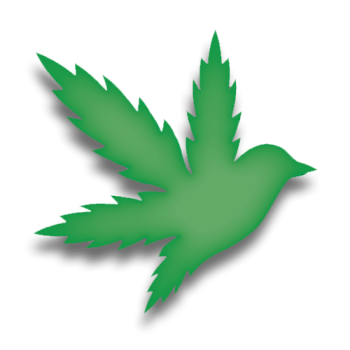 Image for Flyhi Cannabis Dispensary - Aurora with ID of: 6693119