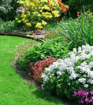 Image for A+ Landcare with ID of: 6134194