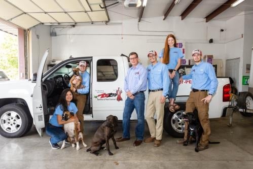 Image for ZipZap Termite & Pest Control with ID of: 6137051