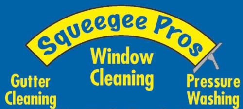 Image for Squeegee Pros with ID of: 6699655