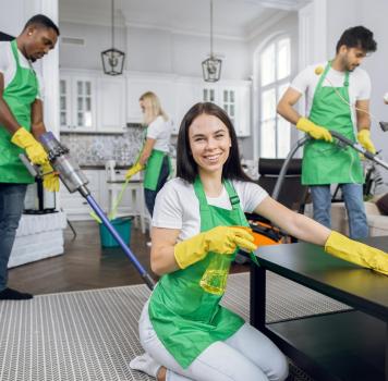 Image for Kitchener Waterloo Cleaning Services with ID of: 6141559