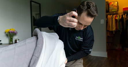 Image for Nextgen Pest Solutions with ID of: 6145776
