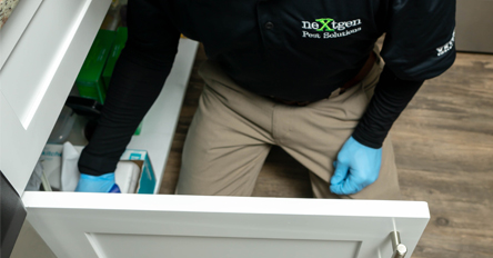 Image for Nextgen Pest Solutions with ID of: 6145780