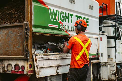 Image for Wight Tree Service Inc with ID of: 6145813
