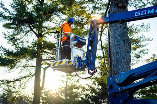 Image for Wight Tree Service Inc with ID of: 6145814