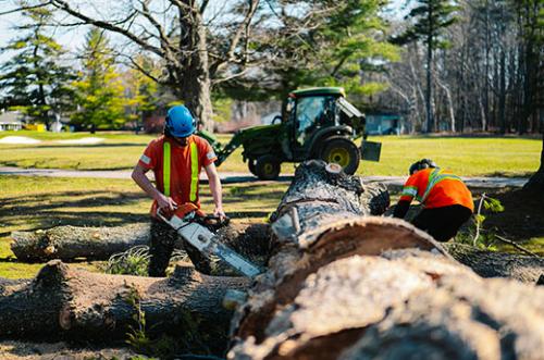 Image for Wight Tree Service Inc with ID of: 6145815
