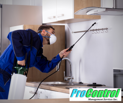 Image for ProControl Termite and Pest Control with ID of: 6146712