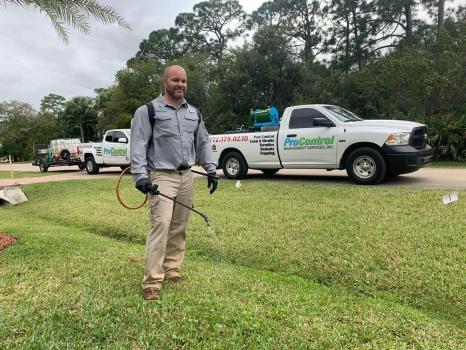 Image for ProControl Termite and Pest Control with ID of: 6146720