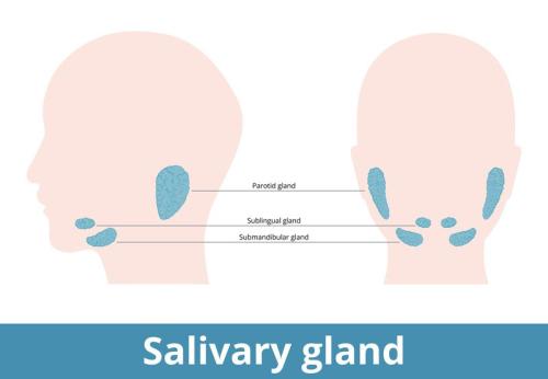 Image for Sepehr Oliaei, MD | UCI Head & Neck with ID of: 6156796