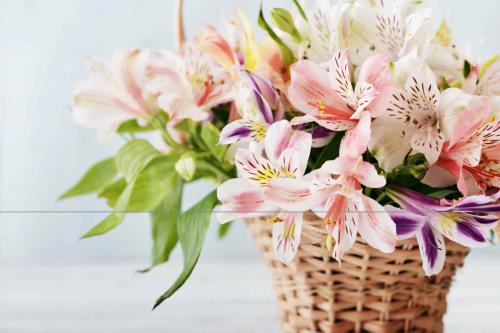 Image for Fleuriste Les Coteaux inc. with ID of: 6156818