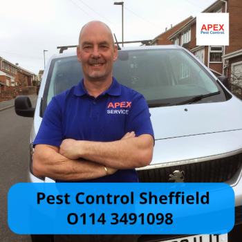 Image for Apex Pest Control Ltd with ID of: 6160150
