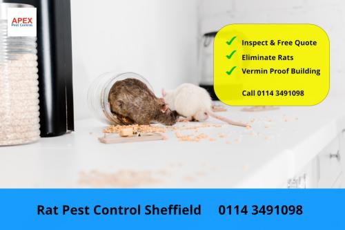 Image for Apex Pest Control Ltd with ID of: 6160152