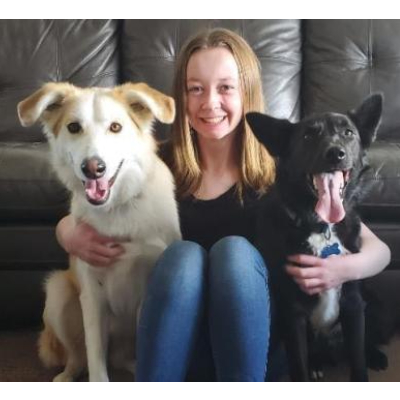 Image for Century Dog Training with ID of: 6162352