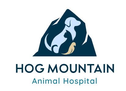 Image for Hog Mountain Animal Hospital with ID of: 6170874