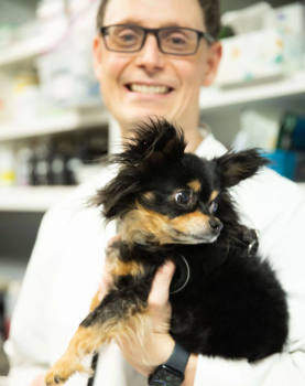 Image for Hog Mountain Animal Hospital with ID of: 6170883