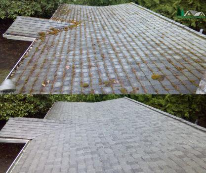 Image for Evergreen Pro Clean with ID of: 6172618