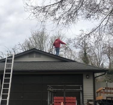 Image for Evergreen Pro Clean with ID of: 6172621
