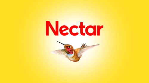 Image for Jason Platt - Nectar Mortgages with ID of: 6174785