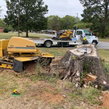 Image for Stump Eater Tree Service with ID of: 6176560