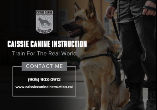 Image for Caissie Canine Instruction with ID of: 6181136