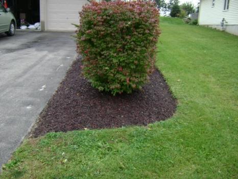 Image for Rubberite with ID of: 6183719