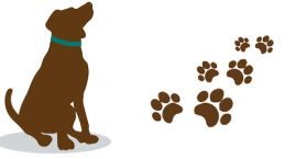 Image for Happy Tails Training Center with ID of: 6186568