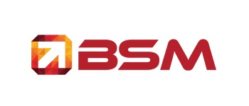 Image for BSM - A Denver SEO Company with ID of: 6186759