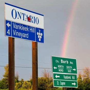 Image for Vankleek Hill Vineyard with ID of: 6188800