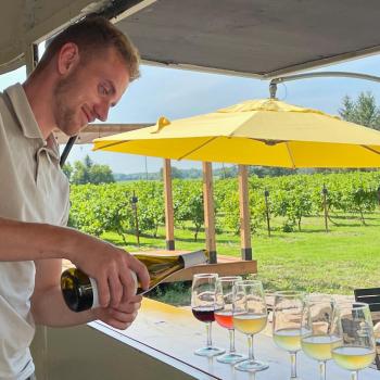 Image for Vankleek Hill Vineyard with ID of: 6188802