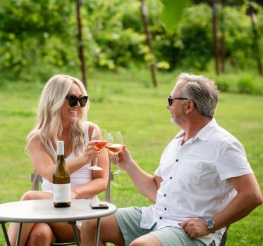 Image for Vankleek Hill Vineyard with ID of: 6188803