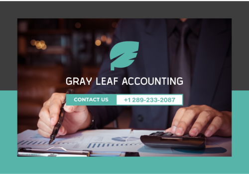 Image for Gray Leaf Accounting with ID of: 6189060