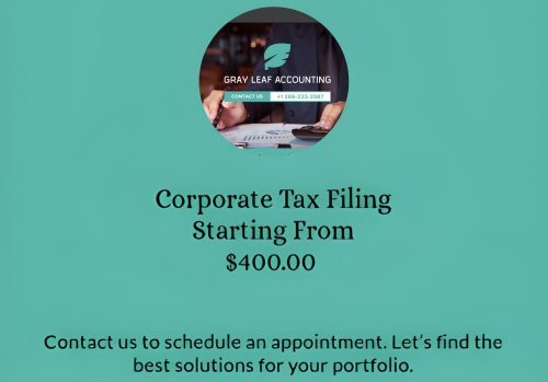 Image for Gray Leaf Accounting with ID of: 6189066