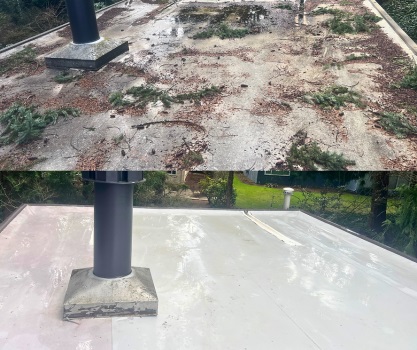 Image for Roof Moss Gone with ID of: 6191917