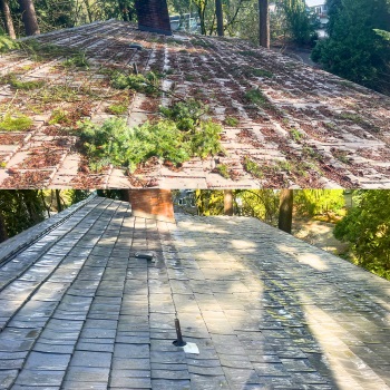 Image for Roof Moss Gone with ID of: 6191918