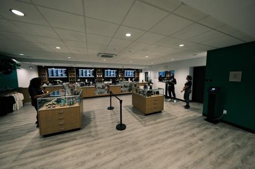 Image for Aura Cannabis Co with ID of: 6201338
